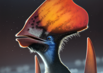 Tupandactylus