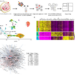 Fig. 1 Single-cell RNA-seq analysis of AGM.