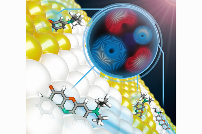 Light and lipids