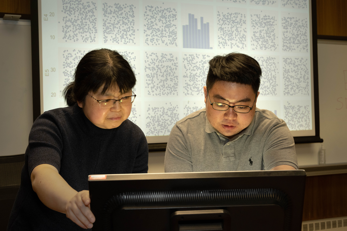 Brookhaven Lab chemist Ping Liu and Wenjie Liao, a graduate student at Stony Brook University