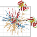 protein_geodesic_map