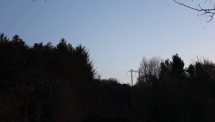 Over a thousand jackdaws taking flight at once