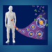 Patient-Derived Micro-Organospheres Enable Cutting-Edge Precision Oncology