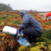 Collecting marine invertebrate samples off Calvert Island, British Columbia, Canada