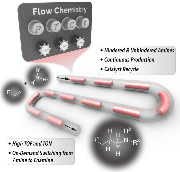 A Cheaper, Faster Way to Produce Hindered Amines