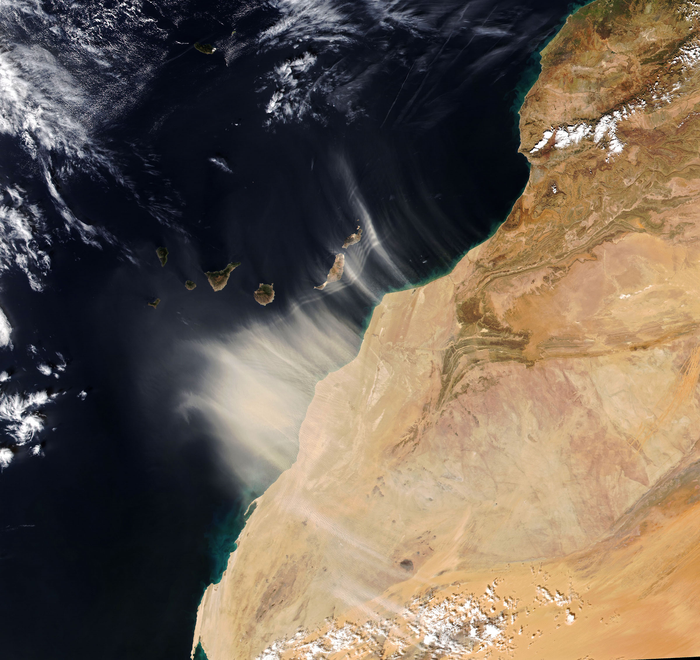 Strong seasonal winds carrying dust from northwest Africa over the Canary Islands