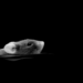 Mouse swimming in darkness