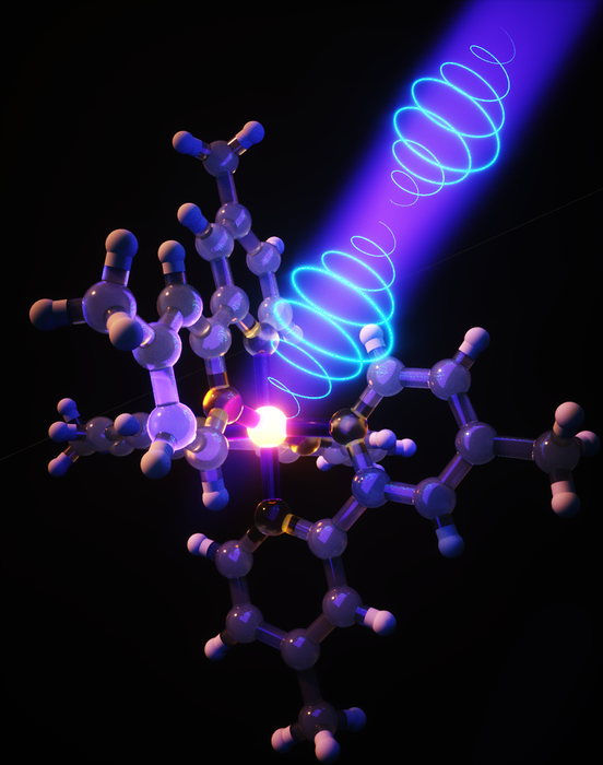 Time-resolved circular dichroism measurement of a photoexcited spin-crossover complex