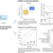 Establishment of a liquid biopsy-based model that allows robust prediction of  response to neoadjuvant therapy (NAT) in ESCC patients