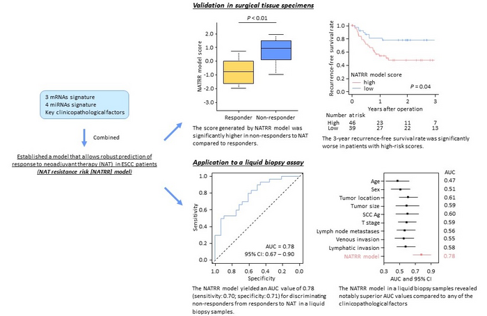 Establishment of a liquid biopsy-based model that allows robust prediction of  response to neoadjuvant therapy (NAT) in ESCC patients