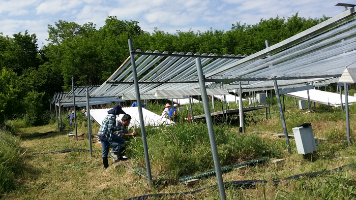 Researchers with the Institute for Environmental Genomics at the University of Oklahoma are investigating plant diversity and taking samples for microbial diversity analysis.