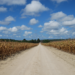 Large-scale agriculture in the Brazilian Amazon