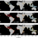 Global map showing change in sea surface temperature, salinity and density across mangrove regions