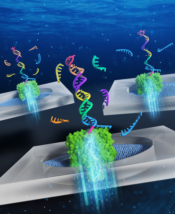 Pattern recognition of miRNA expression using DNA computing and nanopore decoding