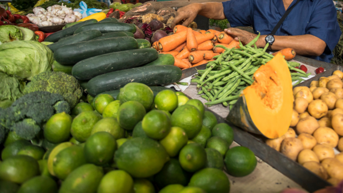 "A comprehensive understanding of the composition of what we eat remains unknown"