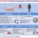 Central Illustration: The Barriers to Xenotransplantation Translation Into the Clinical Realm