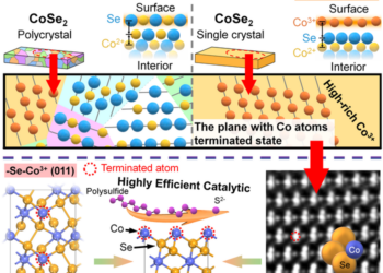 Newly designed surface high-performance matrix to boost Li-S battery performance