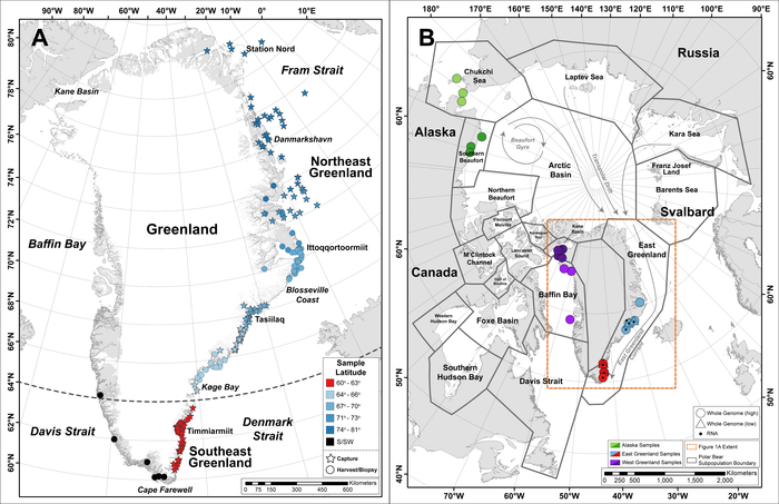 Polar Bears Population Map.jpg