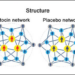 Oxytocin Spreads Cooperation in Social Networks