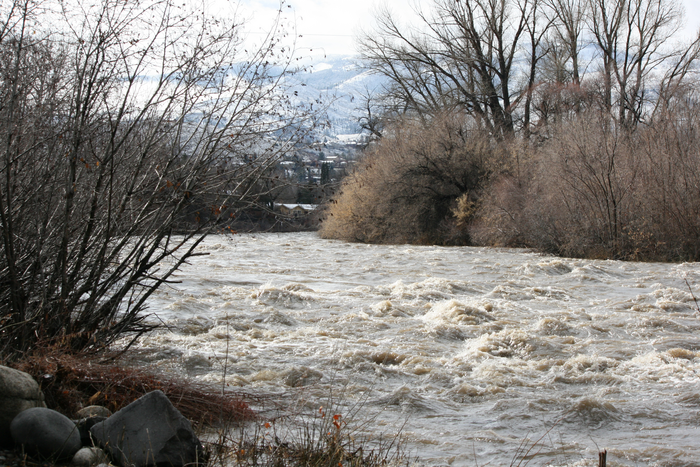 Truckee River 2016