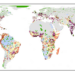 Guo et al. PNAS_Fig.3