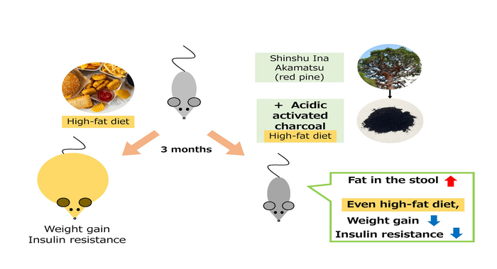 Graphical Abstract