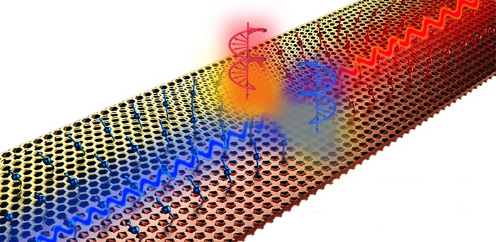 Unidirectional excitation of metamaterial interface waveguides; the chirality of the source decides the direction of energy flow along the edge.