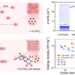 Dendrite-free aqueous zinc battery through common table sugar