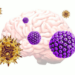 Varicella zoster virus, herpes simplex virus and Alzheimer's disease