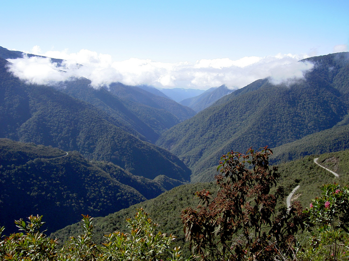 Biodiversity experts from all over the world