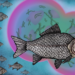 Invasive_Fish_Illustration