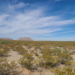 Chihuahuan Desert