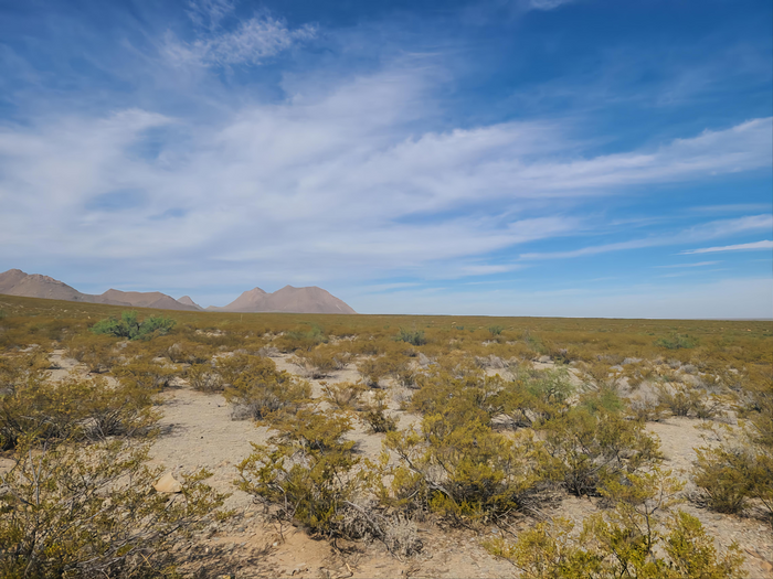 Chihuahuan Desert