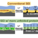 Protein-modified SEI formation and evolution in Li metal batteries