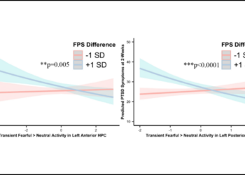 Severity of PTSD Symptoms Linked to Decreased Activity in Hippocampus