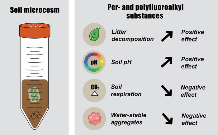 The “forever chemical”, per and polyfluoroalkyl substances (PFAS), as an emerging threat to soil health Title * Media * Max File Size: 100 MB Allowed Extensions:jpeg,jpg,jpe,gif,png Caption * License * Choose Restriction *