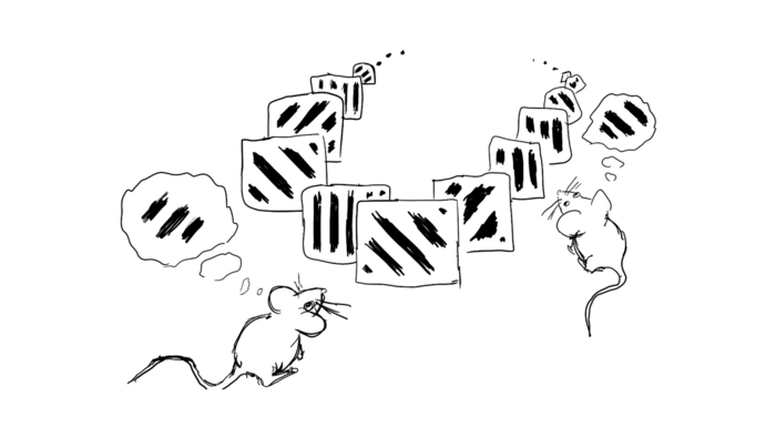 Comparing working memory in mice