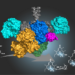 A new biosynthesis method to produce antibiotics from natural substances