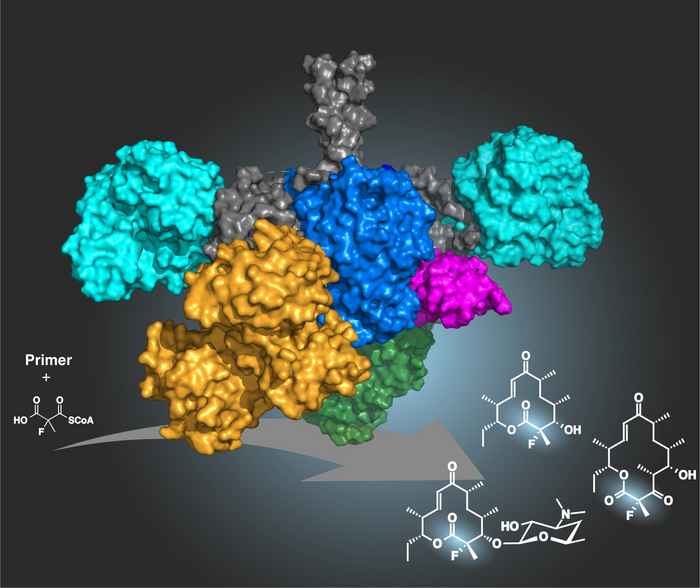 A new biosynthesis method to produce antibiotics from natural substances