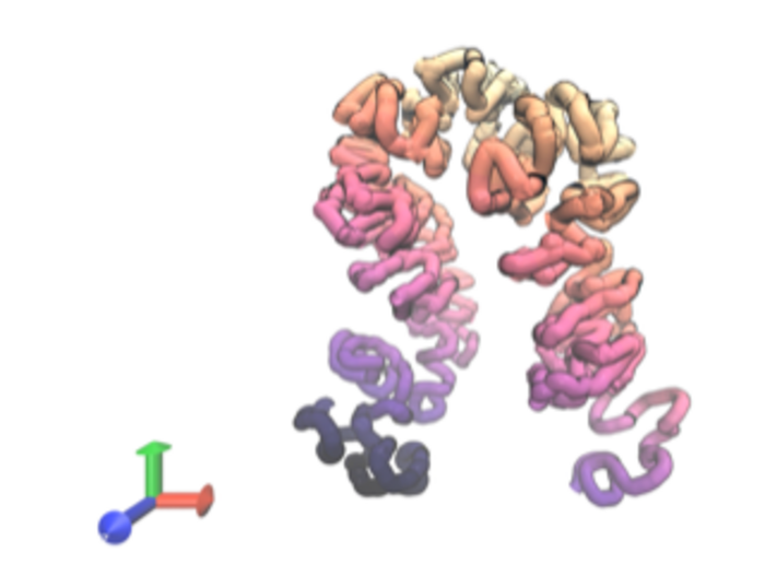 Artificial intelligence tools predict DNA’s regulatory role and 3D structure