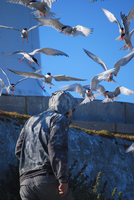 Life can be tough for a Rockabill warden