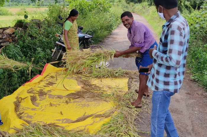 COVID-19 disrupted the agriculture sector in India, but not agricultural practices