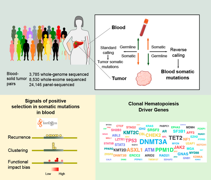 Graphical abstract