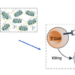 Destroying Tumor Cells: Targeted Immunotherapy Using Injectable Materials