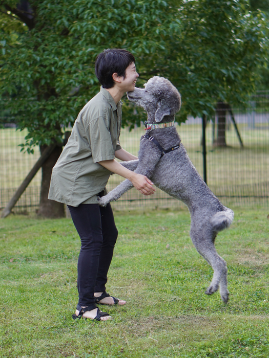 Dog happy to see owner