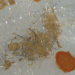 A bundle of anthropogenic fibres found in UK soil