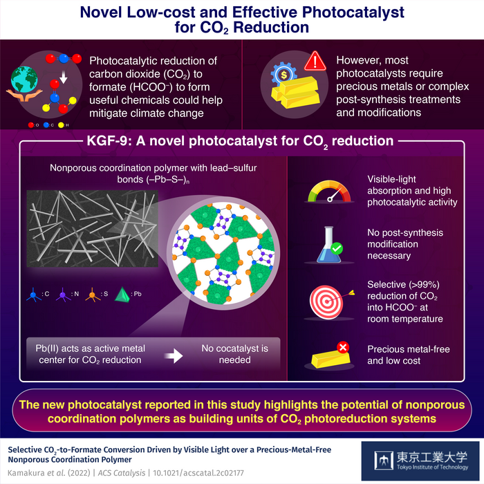 New Quantum Sensor Images Cardiac Currents at Millimeter Resolution