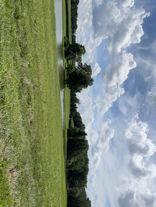 Wetlands, bioenergy crops (Miscanthus), the Conservation Reserve Program, and forest located on the campus of The Ohio State University South Centers.