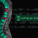 Equation symbolising the mathematical model of osteoporosis