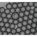 Scientists have developed improved methods for generating micro-organospheres (MOS) and have shown that they can be used as patient avatars for studies involving direct viral infection, immune cell penetration and high-throughput therapeutic drug screening - something that is not obtainable with conventional patient-derived models.